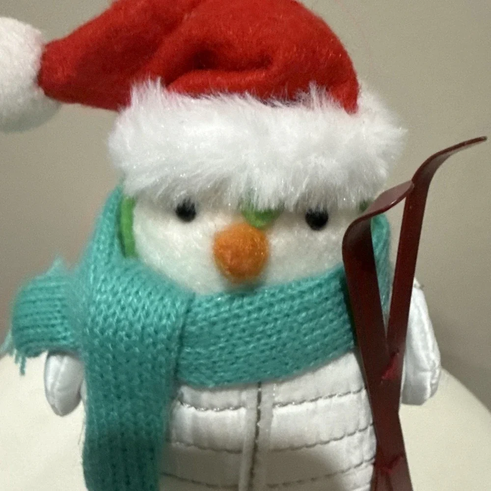 Target Wondershop 2020 Bird Featherly Friends Powell Christmas Holiday Ski Ret